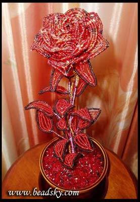 Мирамгуль Карымсакова