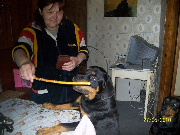 Ирина Юдина-Кашитина