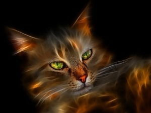 Наруто Узумаки