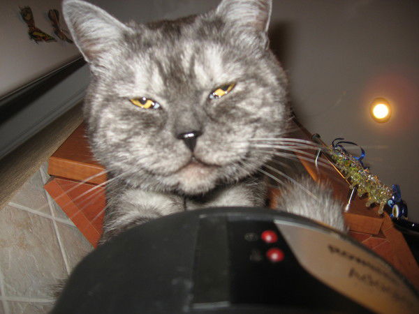 Наталья Шевердова