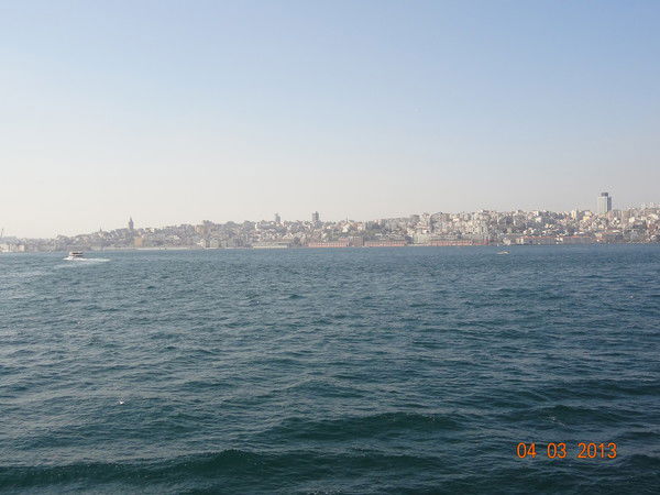 Сережа Седлецкий