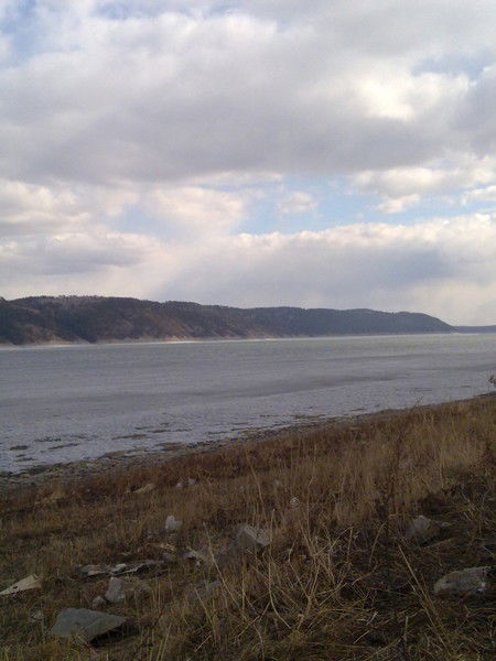 Наталья Гарковенко