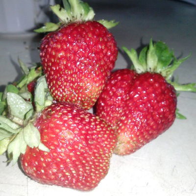 Юлия Кузнецова