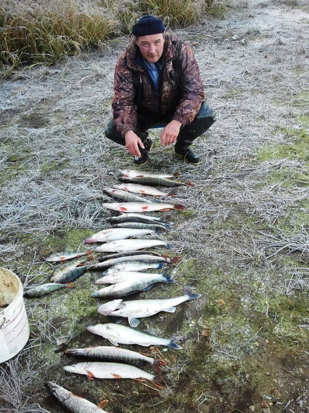 Владислав Макаров