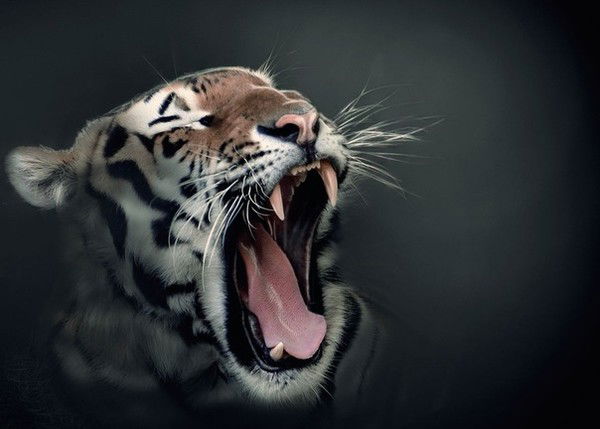 Бекежан Салиев