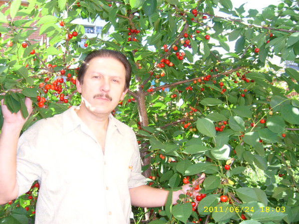 Геннадий Чайковский