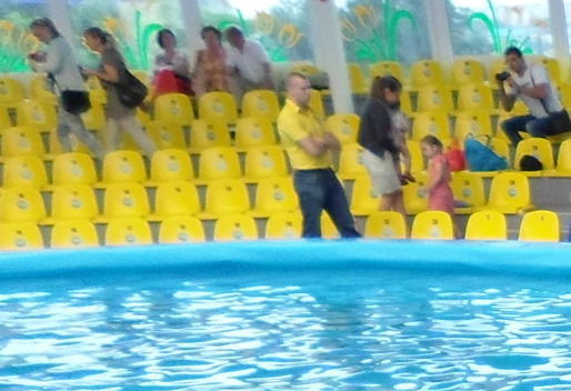 Алиса Лисовская