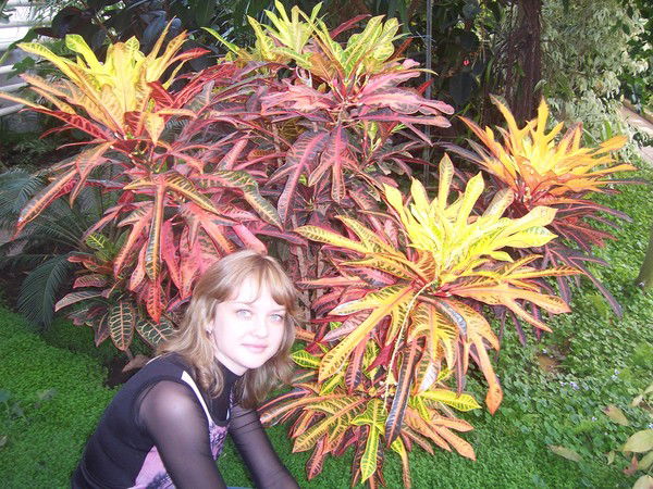 Анастасия Погорелова