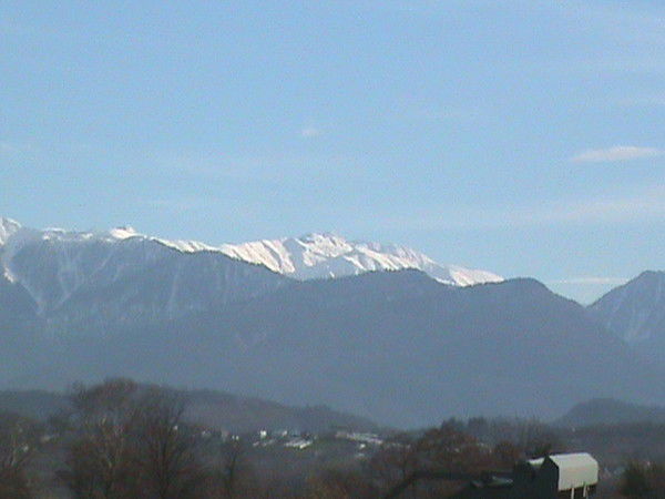 Алексей Дмитрович