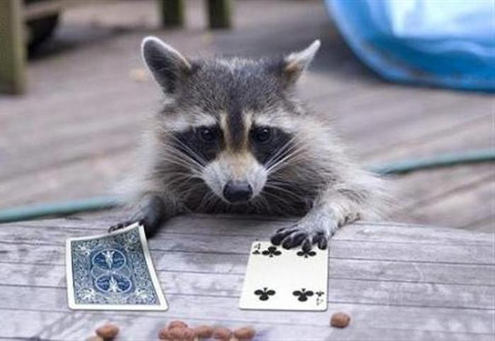 Екатерина Омельян