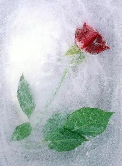 Катерина Горбатко