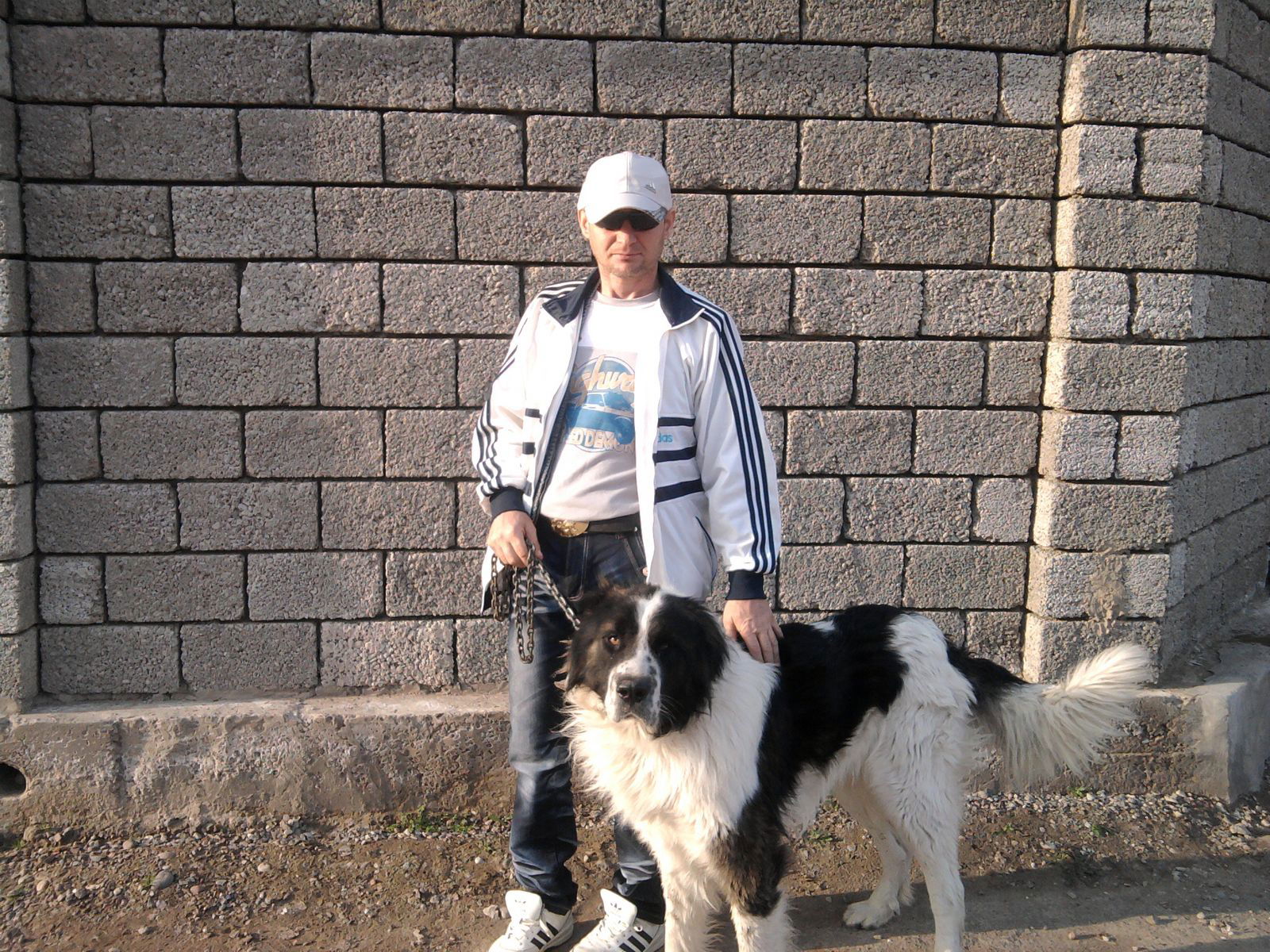 Александр Швец