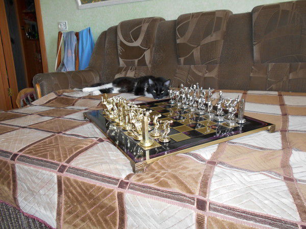 Константин Баранов