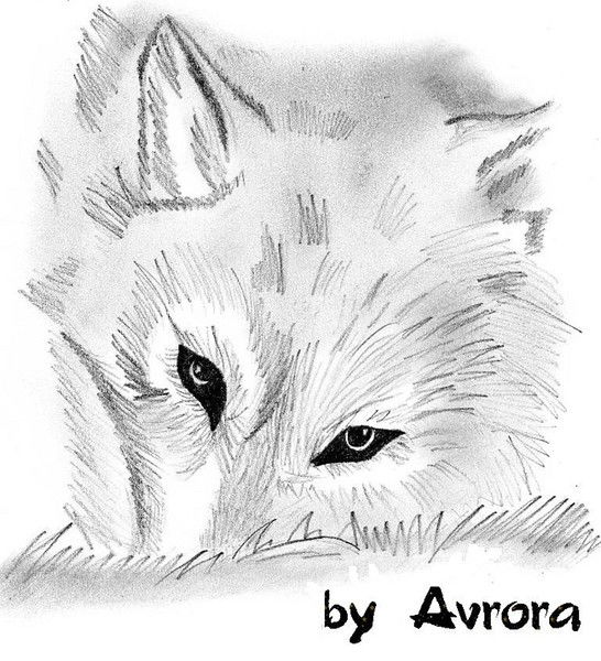 Диас Байтурсынов