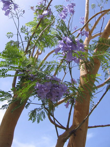 Наталья Ловчева