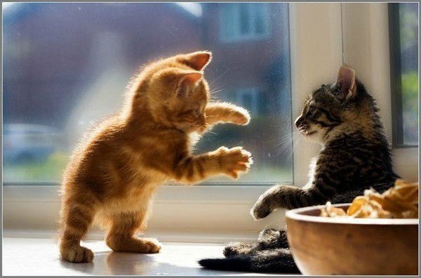 Александра !!