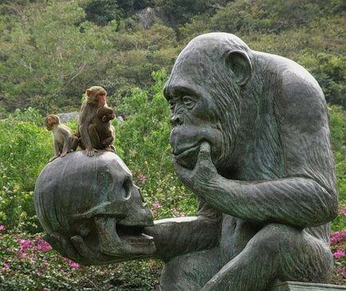 Светлана Набиева