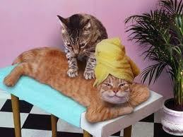 Екатерина Екатерина