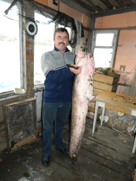 Владимир Шворак