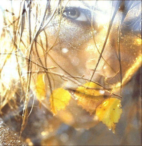 Ксения Мецар