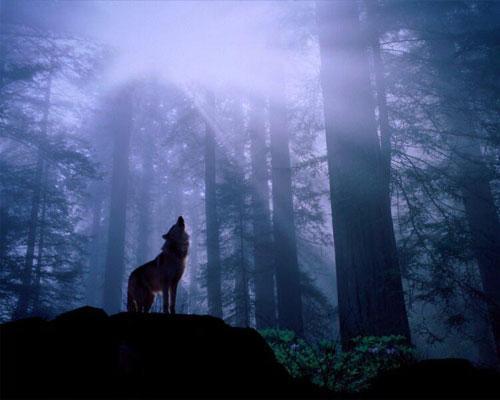 Михаил Трошко