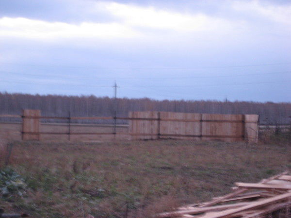 Вера Беляева