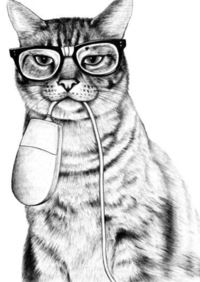 Ксения Гнездицкая