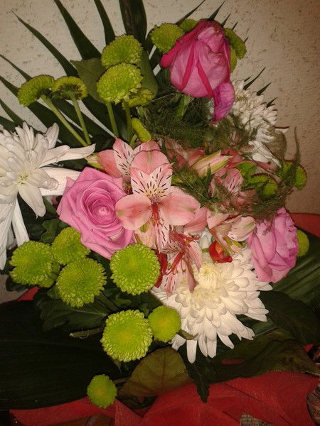 Черных Мария