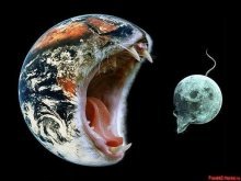 Шаша Сергеев