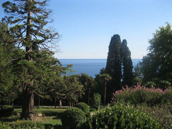 Виктория Панова