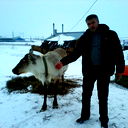Насир Гурбанов