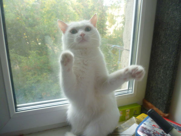 Таня Вильная