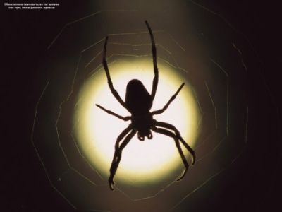 Александр Пикуль