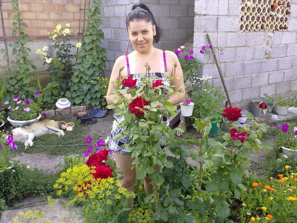 Решетняк Светлана