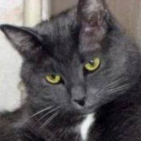 Полина Чистякова