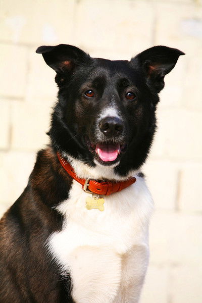 Алла64 Неизвестно