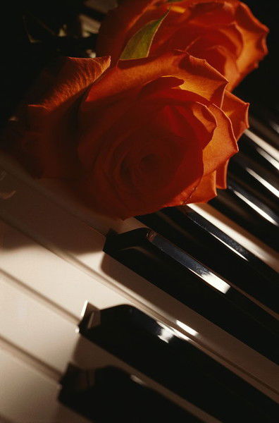 Валентина Степанова