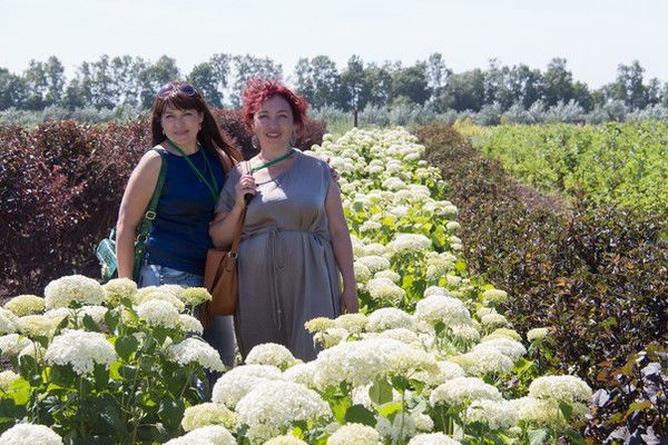 Айгуль Абелхаерова