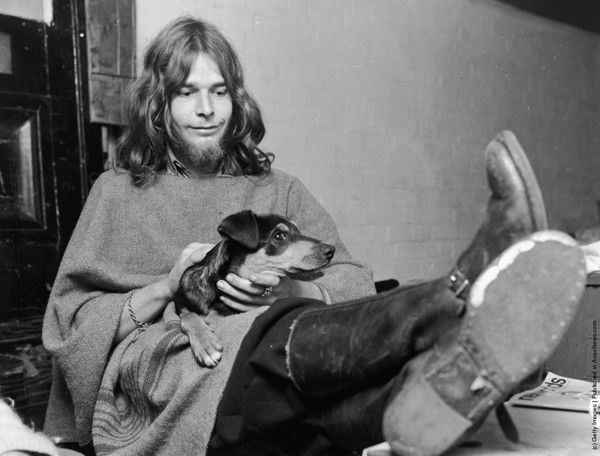 Дервиш Вольф