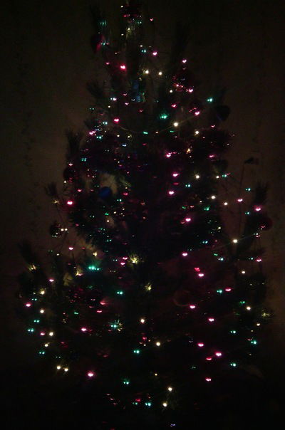 Гульназ Шайдуллина