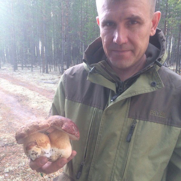 Алексей Гаёв