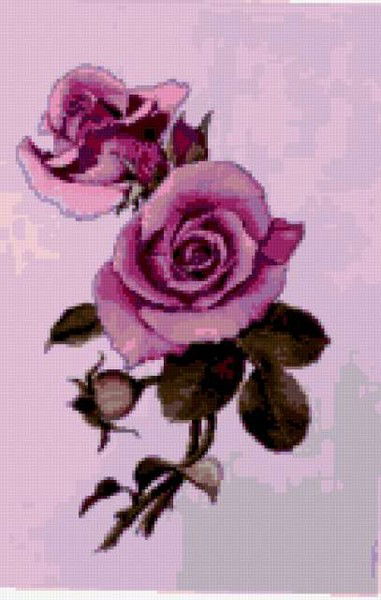 Ольга Фоменкова