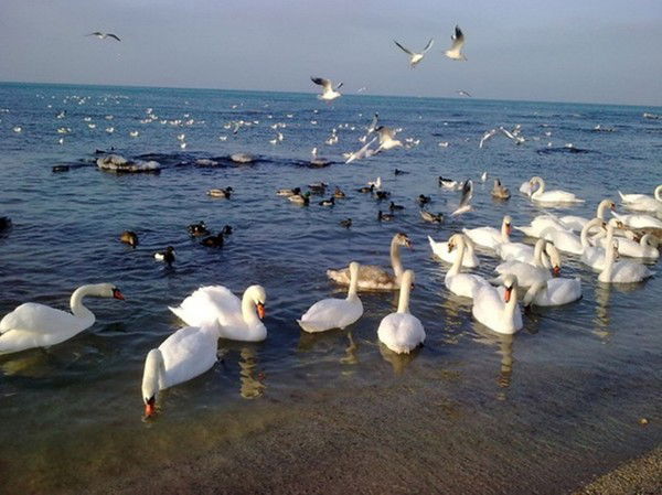 Балдаурен Бөбекжай-Бақшасы