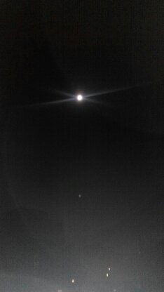 Осенька Пингвин