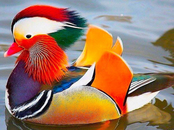 Румия Кузьмина