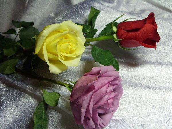 Валентина Чинина (Кисель)