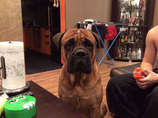 Неизвестно Неизвестно