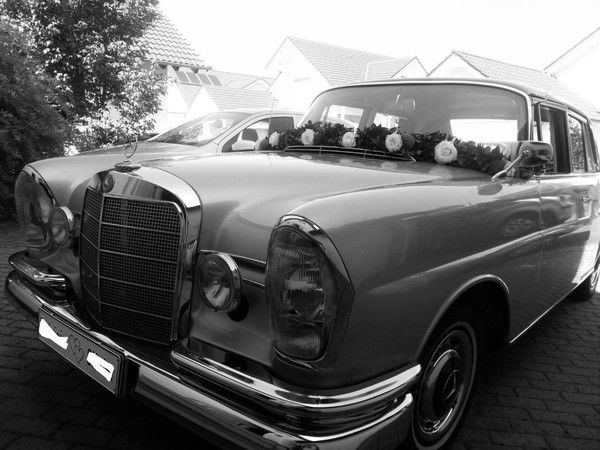 Анатолий Андреевич