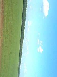 Алексей Истомин