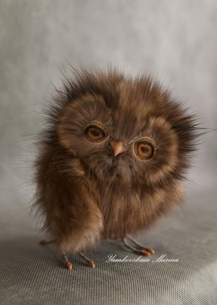 Геннадий Суббота